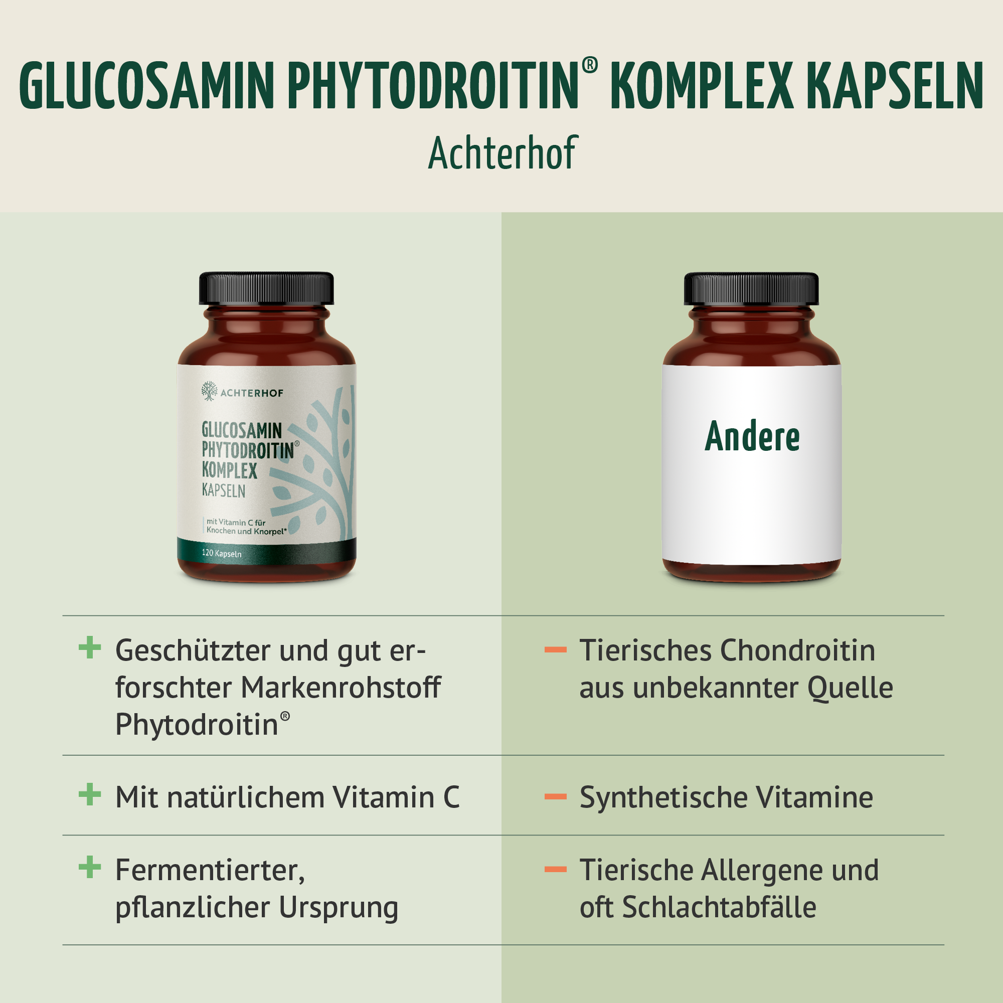 Glucosamin Phytodroitin® Komplex Kapseln (120 Kapseln)