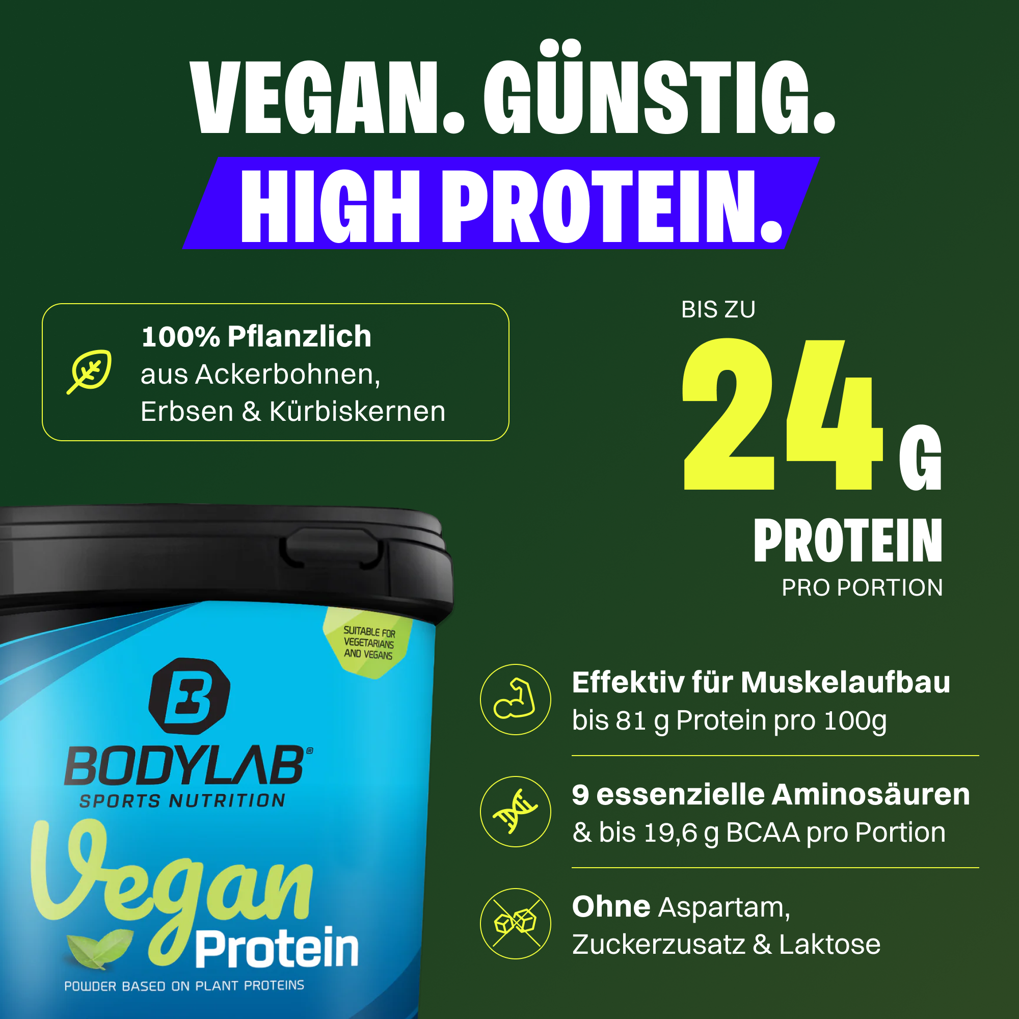 2 x Bodylab24 Vegan Protein (1000g)