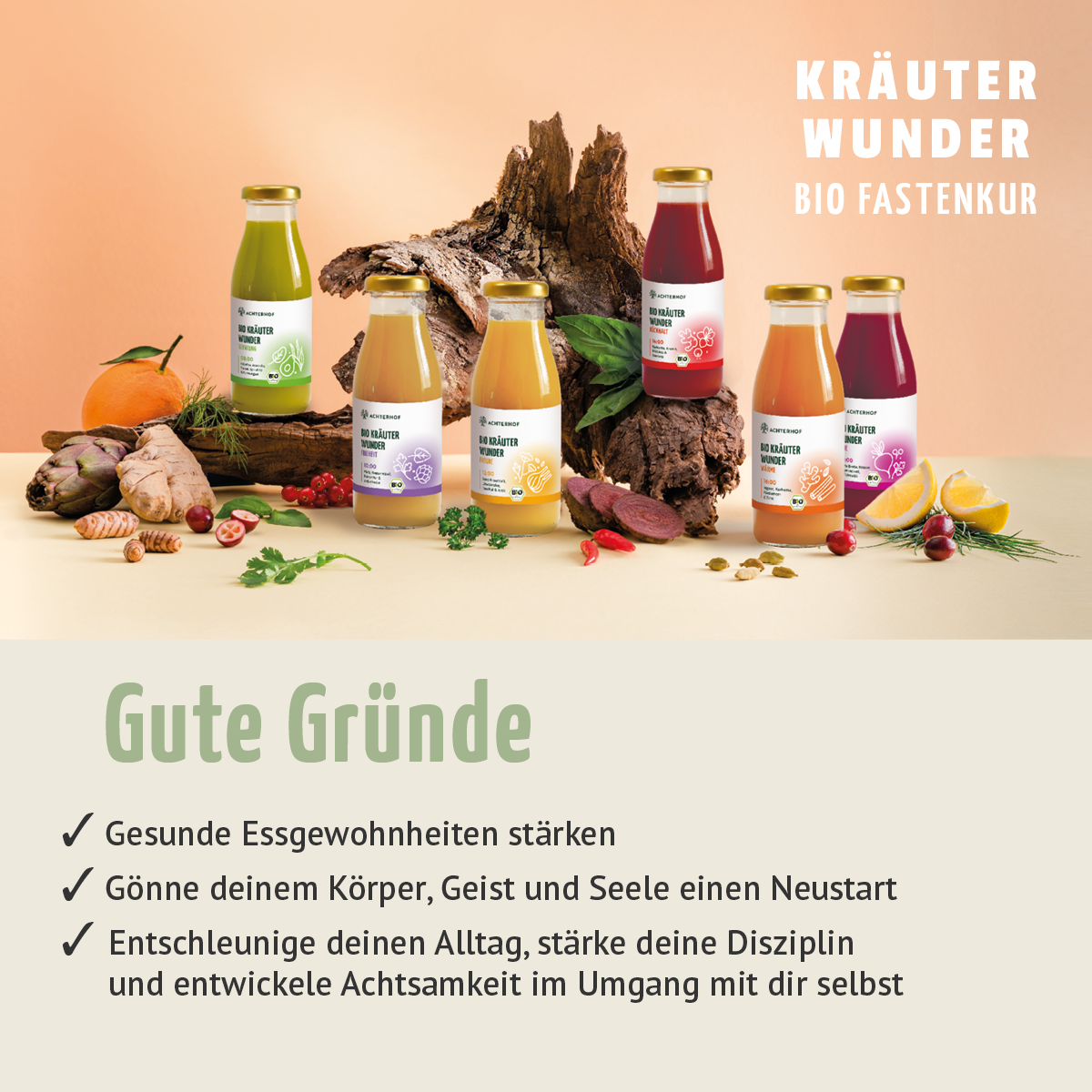 Kräuterwunder Bio Fastenkur 1 - 7 Tage (6 Flaschen pro Tag)
