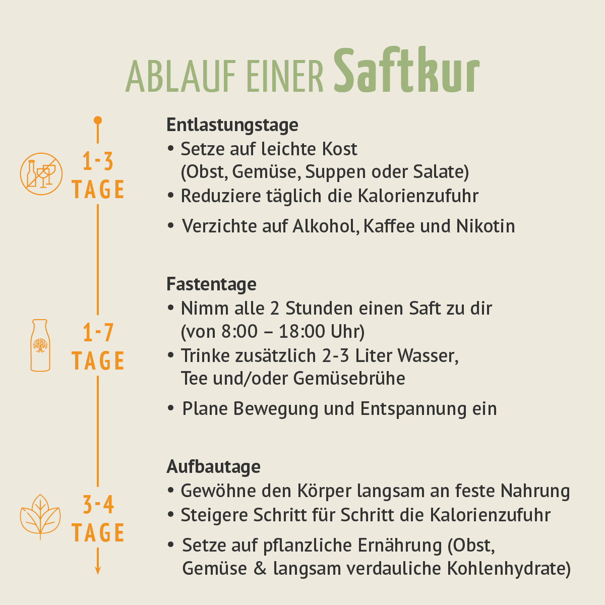 Kräuterwunder Bio Fastenkur 5 Tage (30 Flaschen)