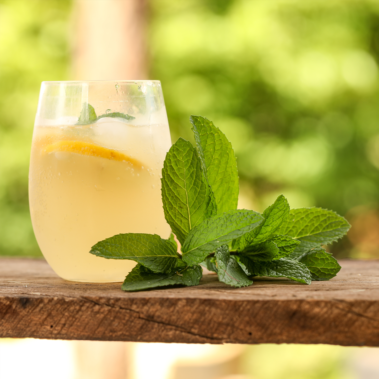 Pfefferminzblätter geschnitten (1000g)