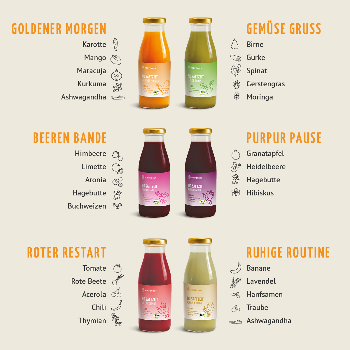 Saftzeit Bio Fastenkur 3 Tage (18 Flaschen)